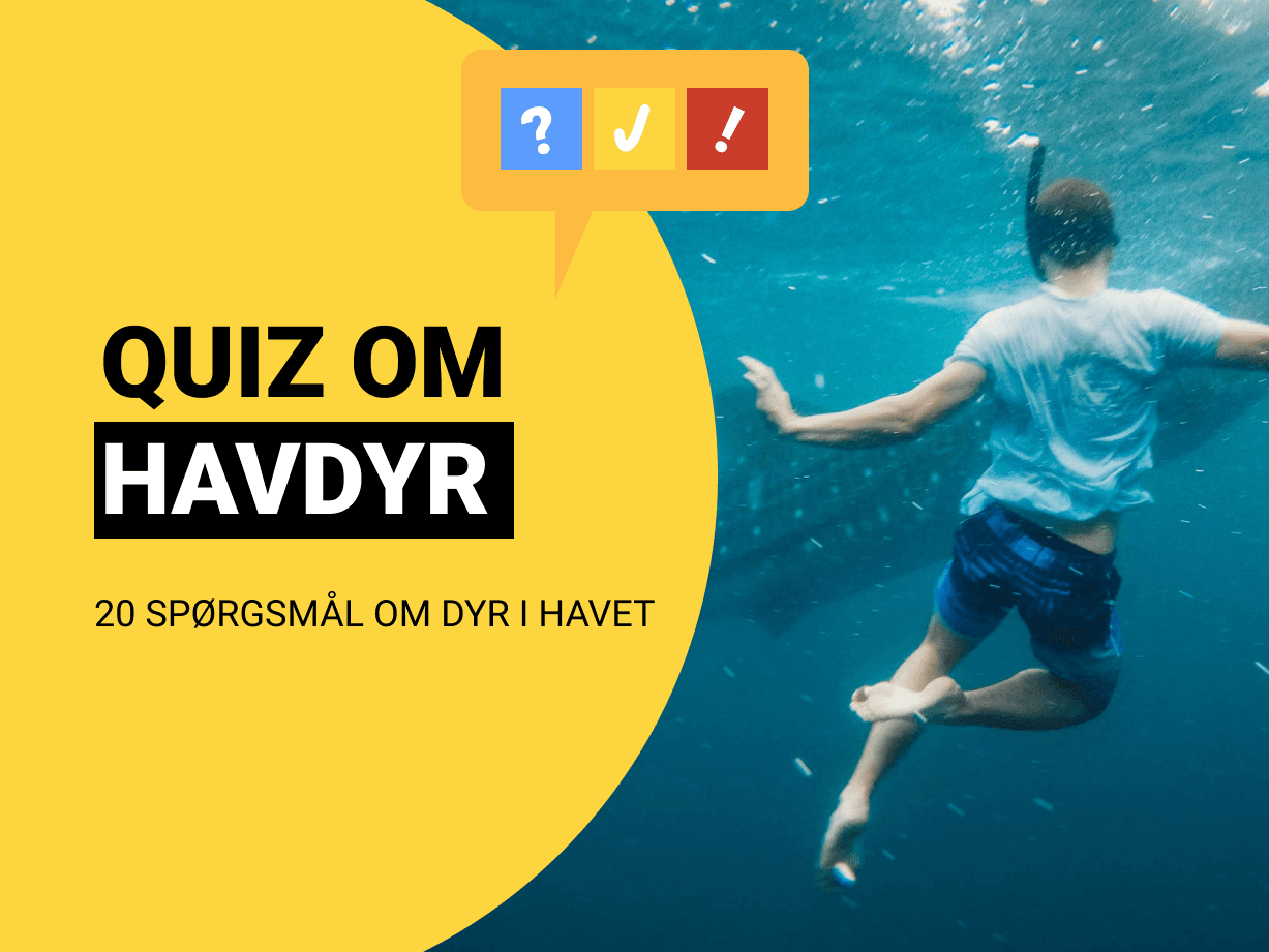 Quiz om Havets Dyr: Test med 20 spørgsmål om havdyr og fisk