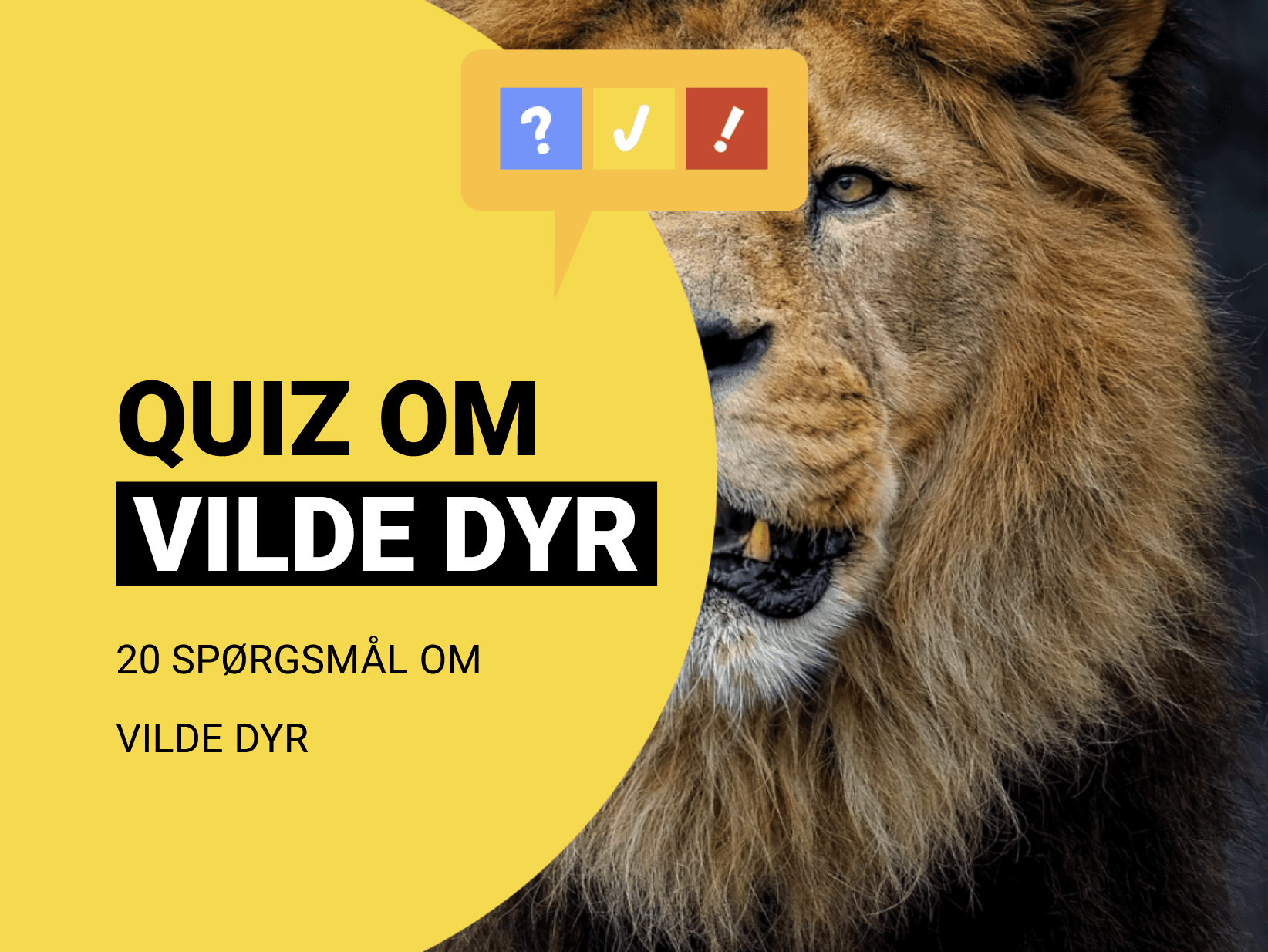 Dansk quiz om vilde dyr: 20 spørgsmål og svar om naturens dyreliv