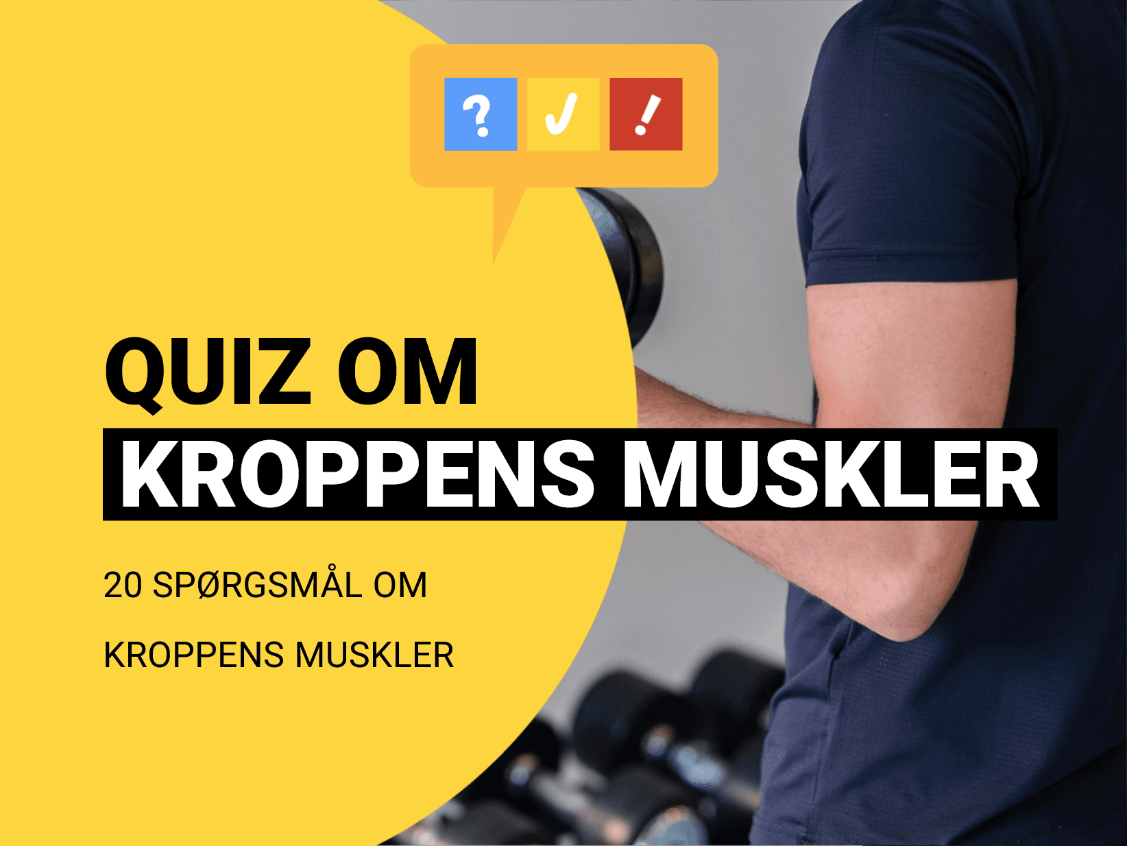 Quiz om Kroppens Muskler: 17 spørgsmål og svar om kroppens muskler