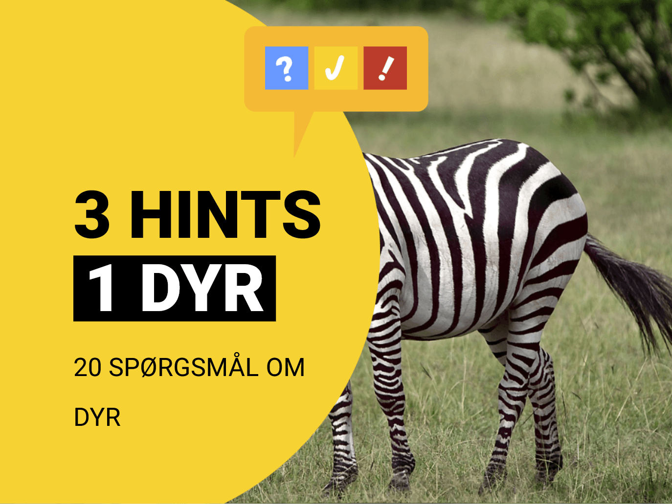 3 hints og 1 dyr: Kan du gætte 17 dyr ud fra 3 hints?