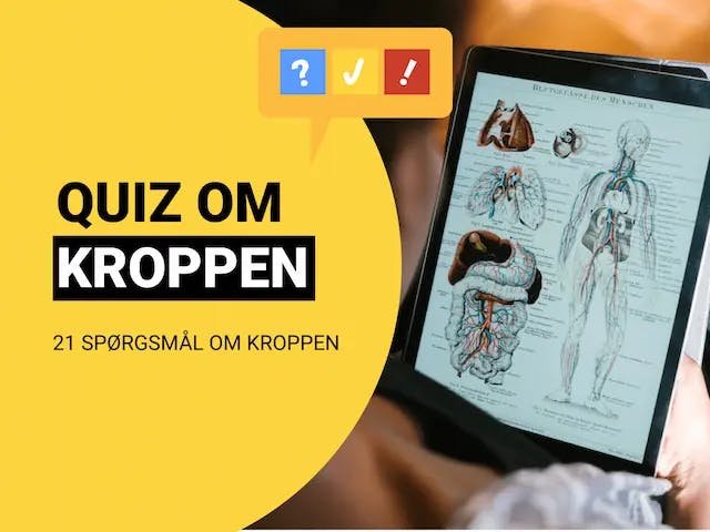 Quiz om kroppen med 21 spørgsmål og svar | Test din viden