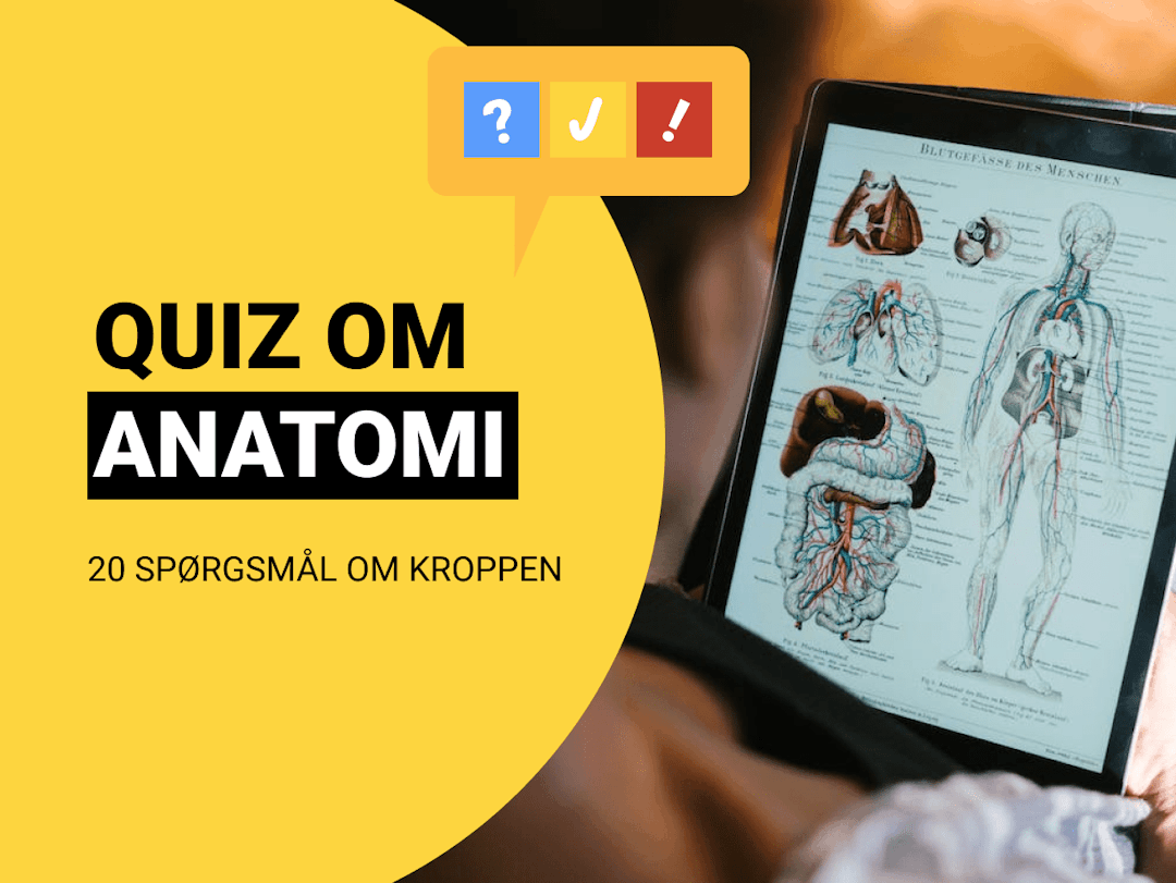 Quiz om Kroppens Anatomi: Anatomi test med 20 spørgsmål og svar