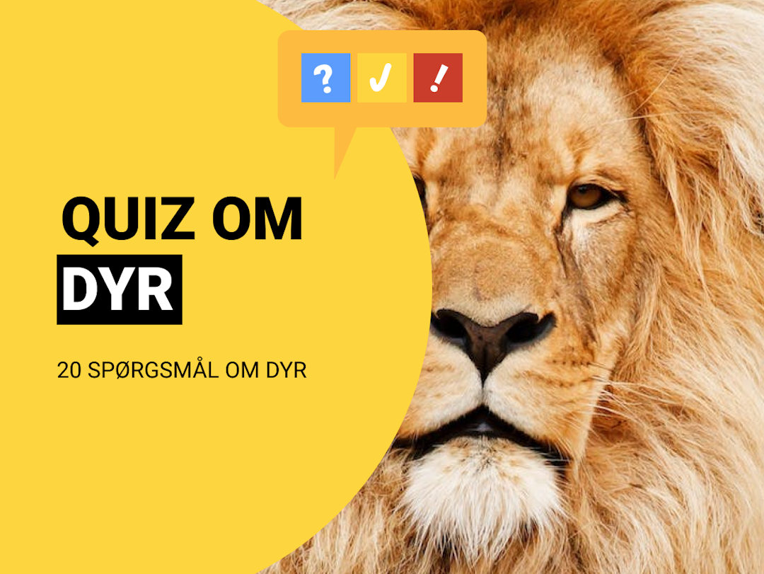 Den Store Dyrequiz: Dansk quiz om dyr med 20 spørgsmål