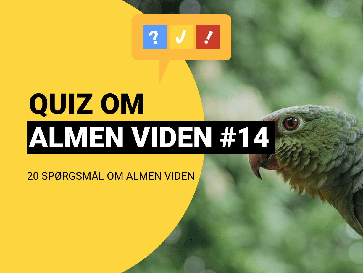 Quiz om Almen Viden med 30 spørgsmål og svar #14