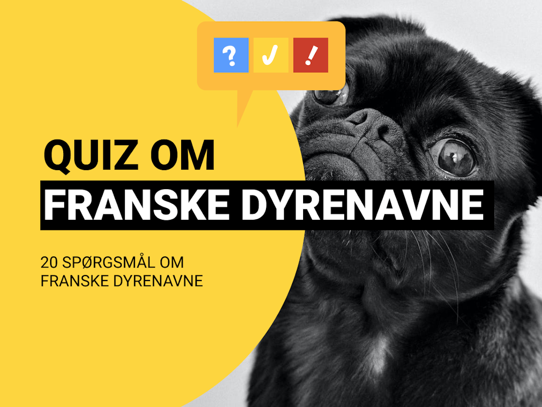 Fransk Quiz om Dyrenavne: Kan du dyrenavnene på Fransk?