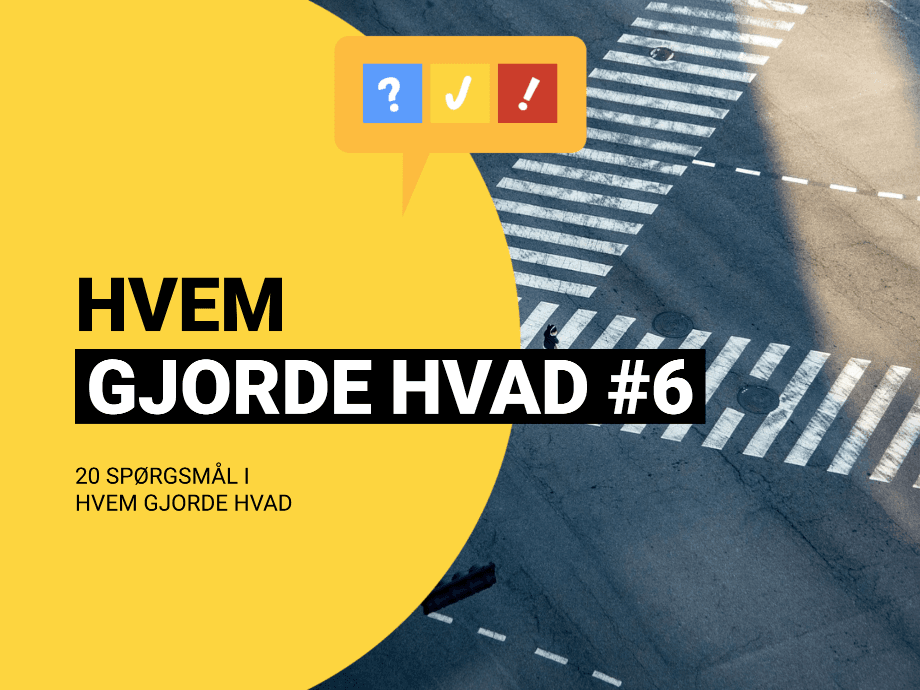 Hvem Gjorde Hvad #6