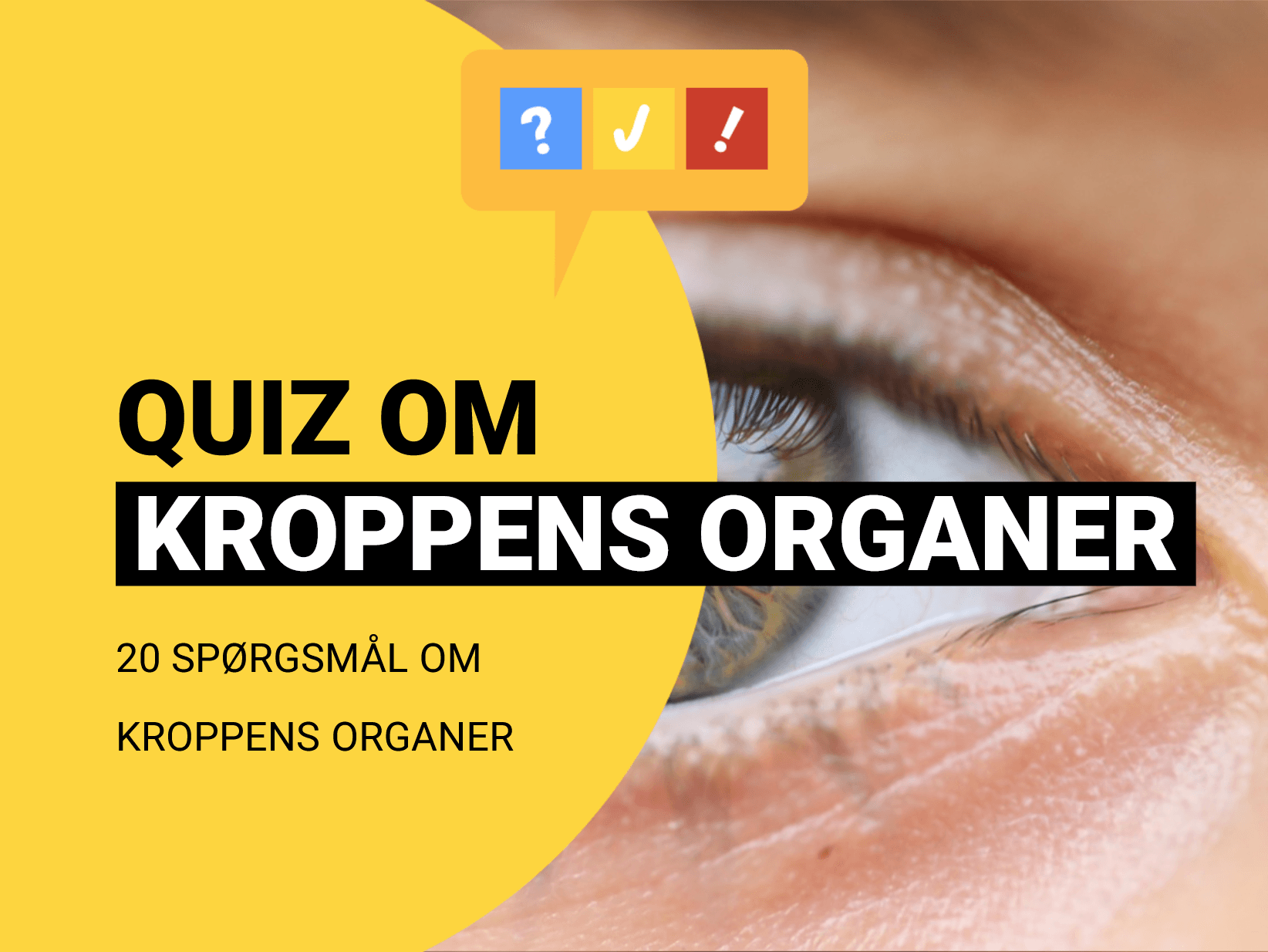 Dansk quiz om menneskets organer: 17 spørgsmål og svar om kroppen