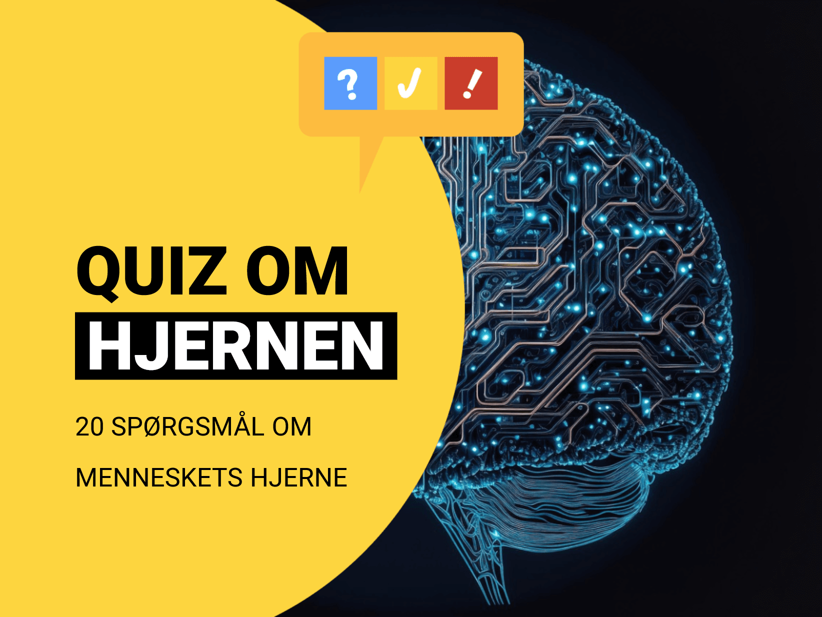 Dansk quiz om hjernen: 20 spørgsmål og svar om hjernen