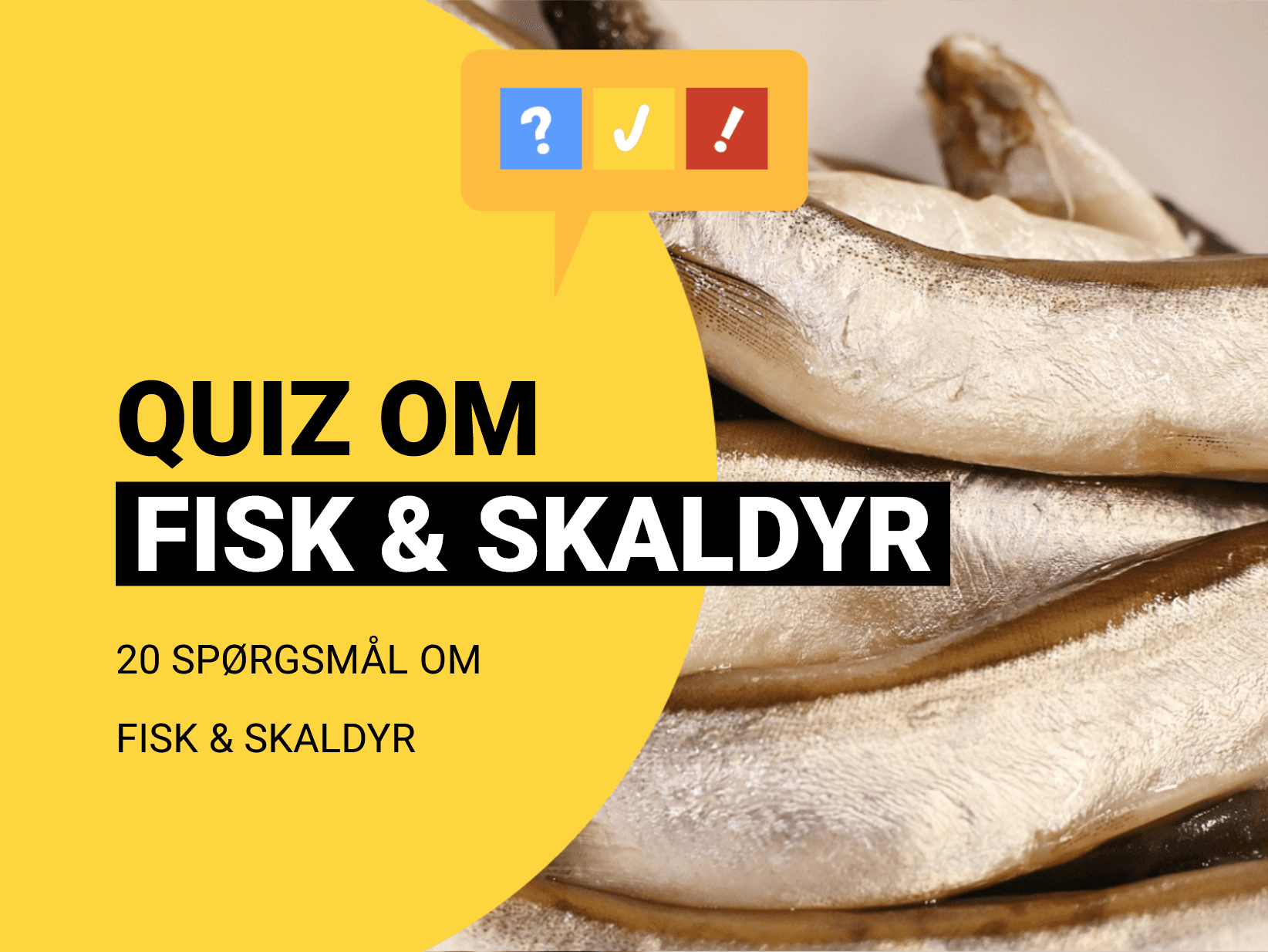 Quiz om fisk og skaldyr: 14 spørgsmål og svar om havets lækkerier
